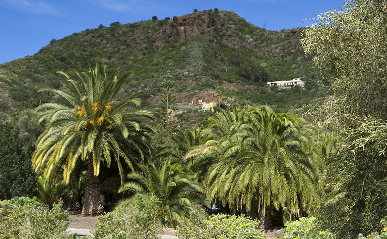 Jardín Canario